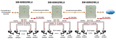 SW-80802/WLU