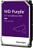 WD43PURZ