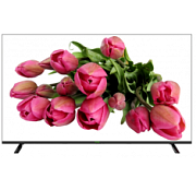 TC-D355 Spec:MON/4K/P/V2.0