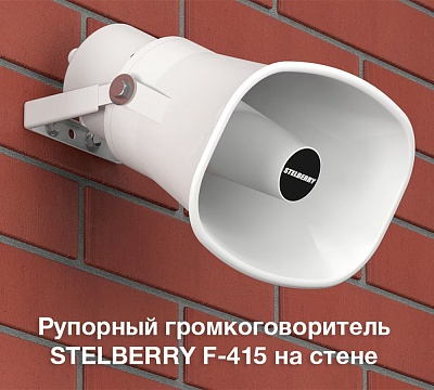 Stelberry F-415